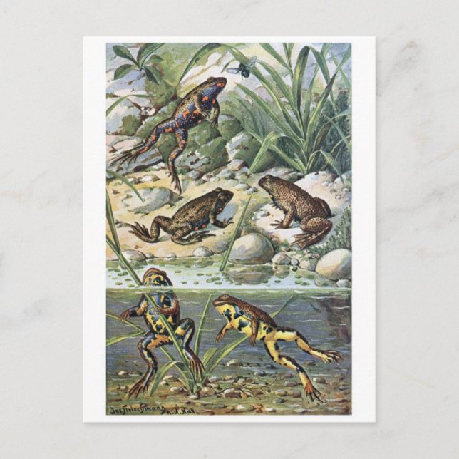 Klassiskt vykort för illustration (Framsida)