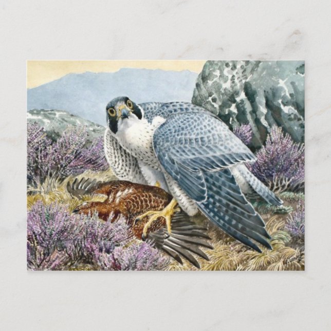 Klassiskt vykort för illustration (Framsida)