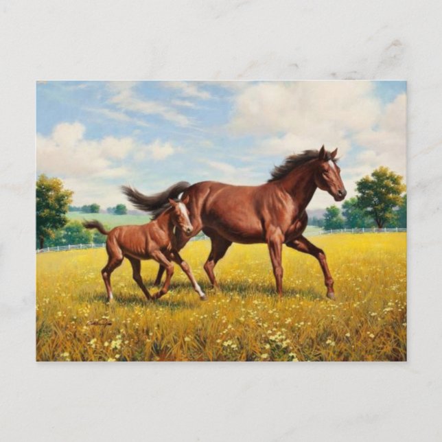 Klassiskt vykort för målning (Framsida)