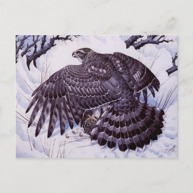 Klassiskt vykort för målning (Framsida)