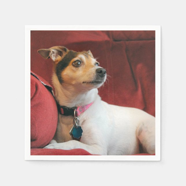 Klassy Pappersservett (Framsidan)