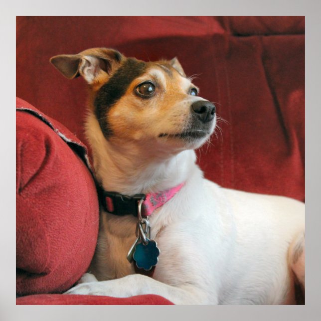 Klassy Poster (Framsidan)