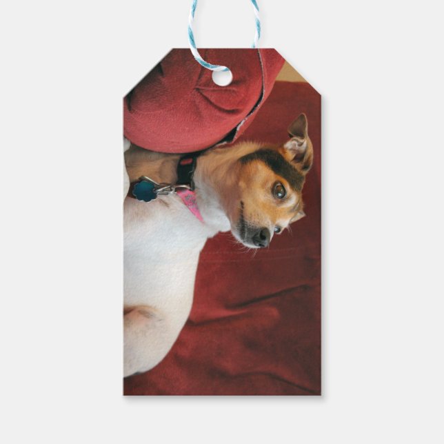 Klassy Presentetikett (Framsidan)