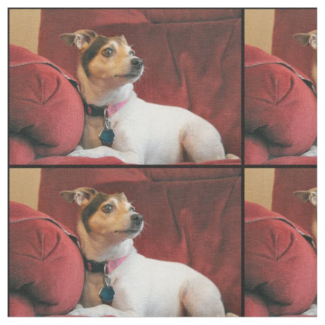 Klassy Tyg (Närbild)