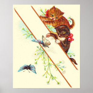 klätterkattungar och fjärilar poster