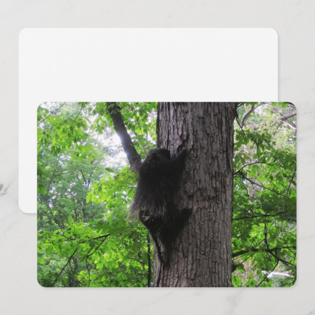 Klätterkort med hög platt Helgdag Julkort (Fram/baksida)