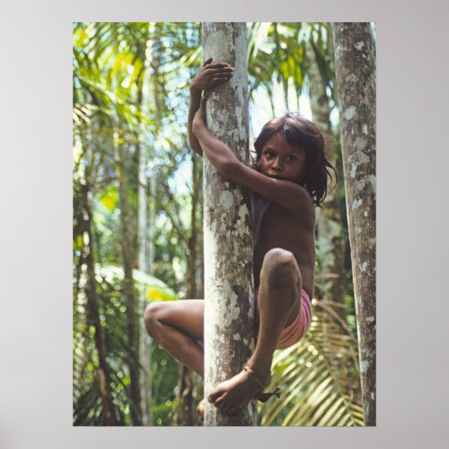 Klätterska Träd. Poster (Framsidan)