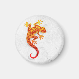 Klättra den röda geckoen på en vitvägg magnet