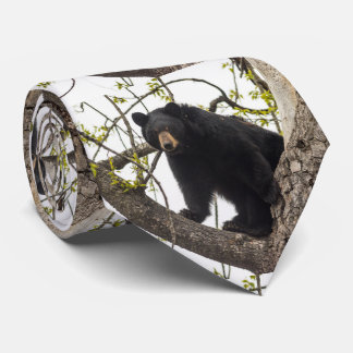 Klättra den svart björnen slips