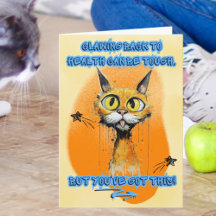 Klättra Tillbaka Till Hälsa Katt Gatustil Återhämt