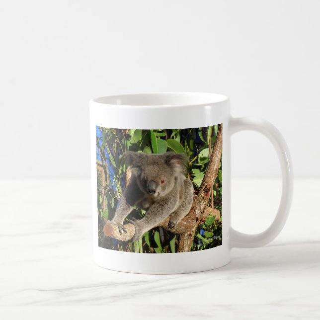 Klättring Koala.jpg Kaffemugg (Höger)