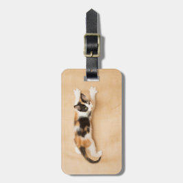 KlättringCalicokattunge Bagagebricka