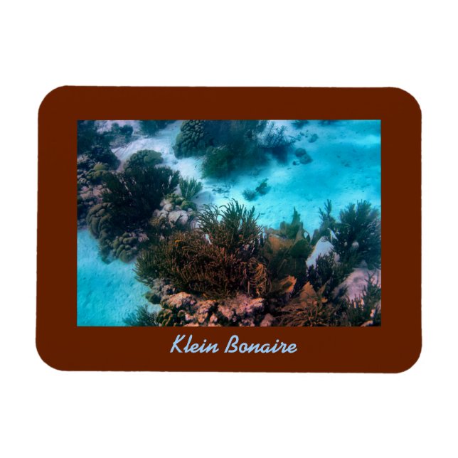 Klein Bonaire Reef Magnet (Horisontell)