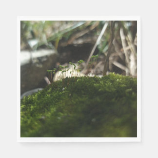 Kleine Mooswelt – Naturfotografie Serviette Pappersservett