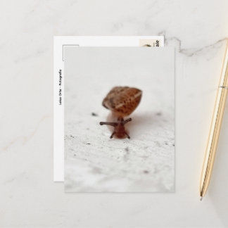 Kleine Reise – Schnecke auf hellem Grund Vykort
