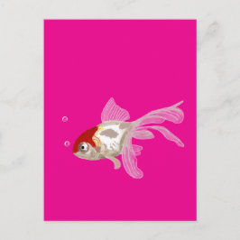 Kleiner Goldfisch -  Vykort