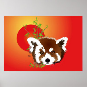 Kleiner Panda (Ailurus fulgens) Poster