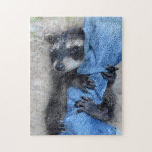 Kleiner Waschbär Pussel