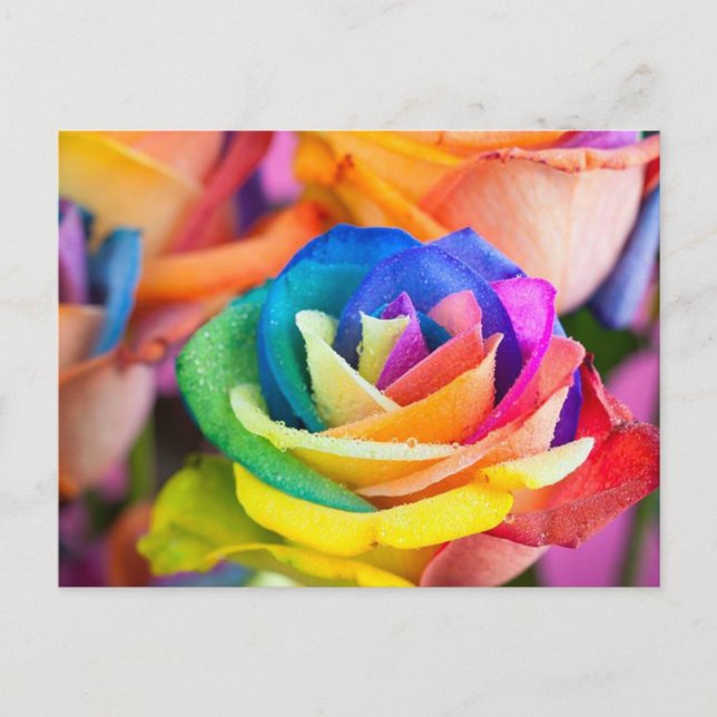 kleuren bloem vykort (Framsida)