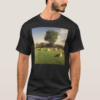 KLF - Kyla ut klassisk T-Shirt