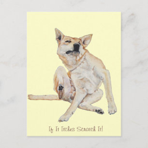 kliande hund, kliande målning med lustig slogan vykort