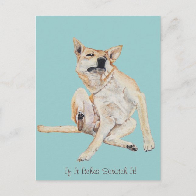 kliande hund kliar bild med lustig slogan vykort (Framsida)