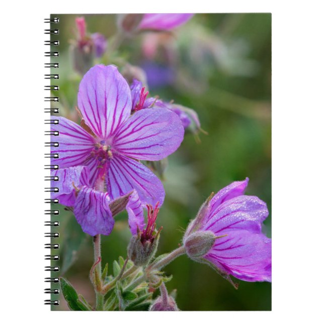 Klibbiga geraniumvildblommor anteckningsbok med spiral (Framsidan)