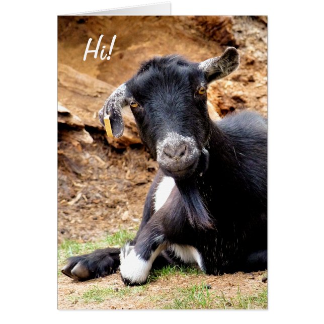 KLICKA LITE GOAT-Kort Hälsningskort (Framsidan)
