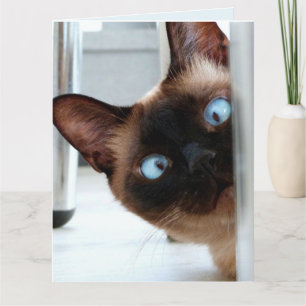 KLICKA SIAMESE CAT PEEKING GRATTIS PÅ FÖDELSEDAGEN KORT