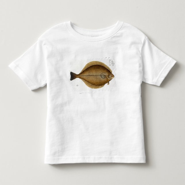 Klicken (PleuronectesLimanda) pläterar XLVI från T-shirt (Framsida)