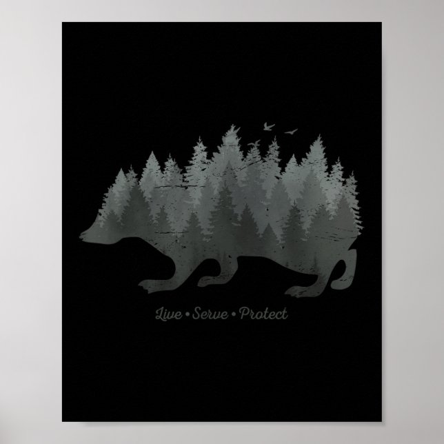 Klimat Miljöskydd I Natur Igelkott Poster (Framsidan)