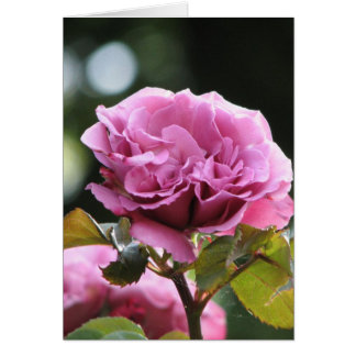 Klimatänggel Ansikte 196 Hälsningskort