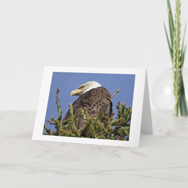 Klimatanteckningskort för natur tack kort (Framsida)