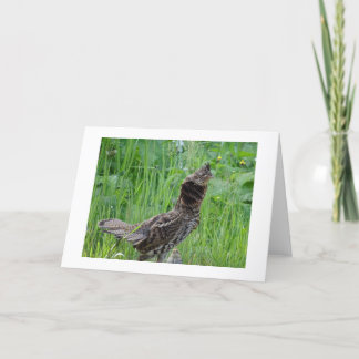 Klimatanteckningskort för natur tack kort