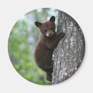 Klimatbjörn Unge Magnet