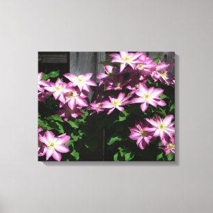 Klimatet Clematis Lila Vår blommor Canvastryck