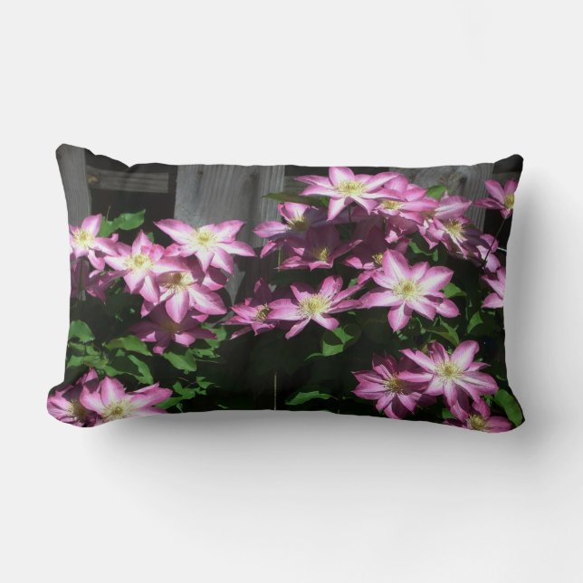 Klimatet Clematis Lila Vår blommor Lumbarkudde (Framsida)