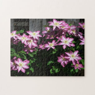 Klimatet Clematis Lila Vår blommor Pussel