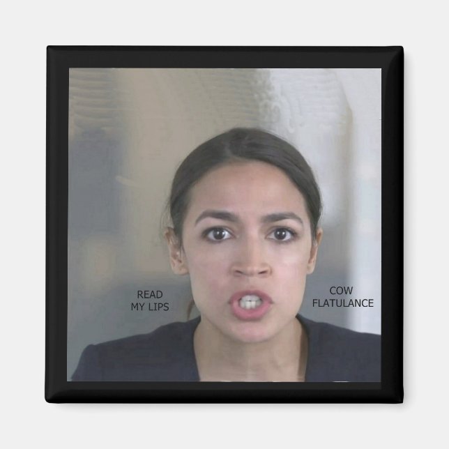 KLIMATFÖRÄNDRING MAGNET (Framsidan)