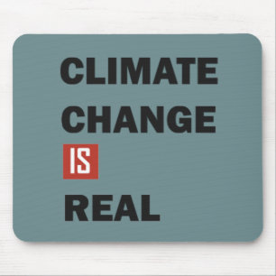Klimatförändringarna är verkliga musmatta