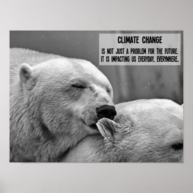 Klimatförändringen svart på vitt med polar björnar poster (Framsidan)