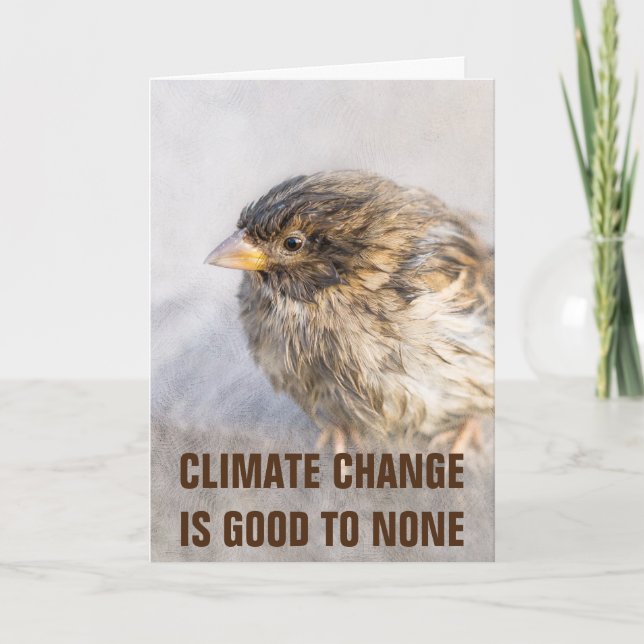 Klimatförändringsmedvetenhet Kort (Framsida)
