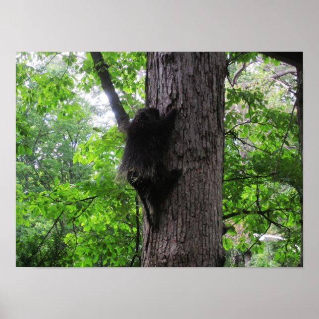 Klimathög Poster (Framsidan)