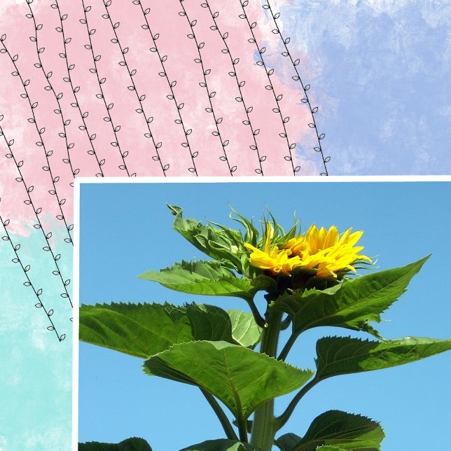 Klimatväxtarter Löv Scrapbooking Wood Art Frimärke Stämpel (Skapare uppladdad)