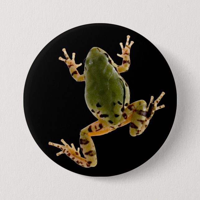 Klimer Arizona Träd Frog Photograph Knapp (Framsida)