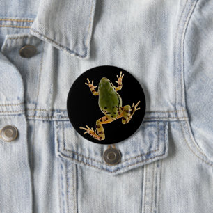 Klimer Arizona Träd Frog Photograph Knapp