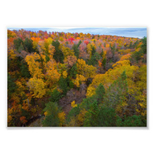 Klipp flodddalen, Fall, Michigan Fototryck