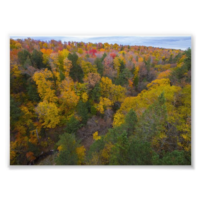 Klipp flodddalen, Fall, Michigan Fototryck (Framsidan)