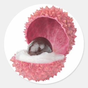 Klipp ut lyktglas runt klistermärke