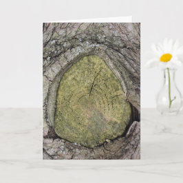 Klipp ut Träd Gren Stub-stängningen Kort